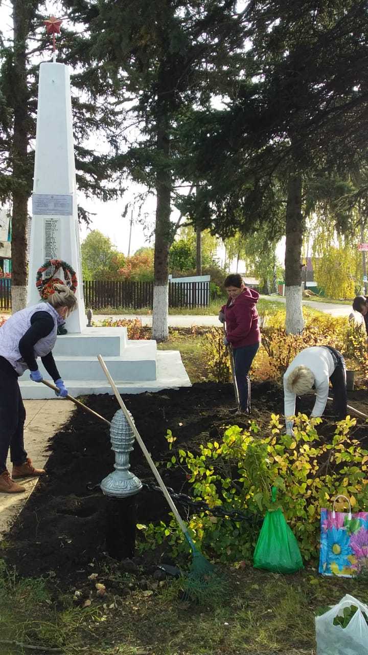 «Тюльпаны победы!»