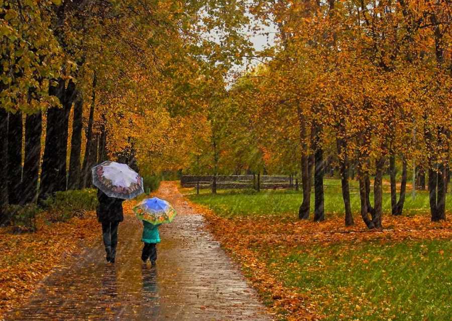 Ежедневный прогноз