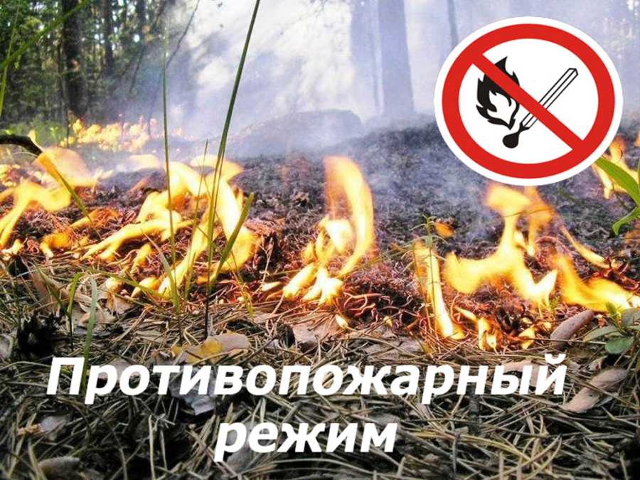 В Мордовии введен особый противопожарный режим