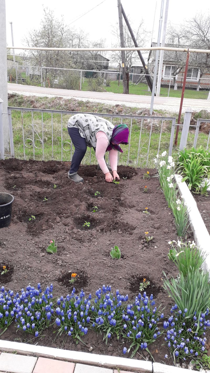 ИНФОРМАЦИЯ О ПРОВЕДЕНИИ АКЦИИ "ЦВЕТЫ ПОБЕДЫ"