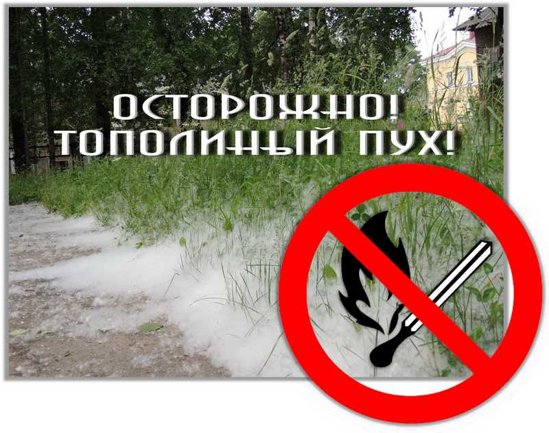 Администрация Красносельцовского сельского поселения предупреждает!!!