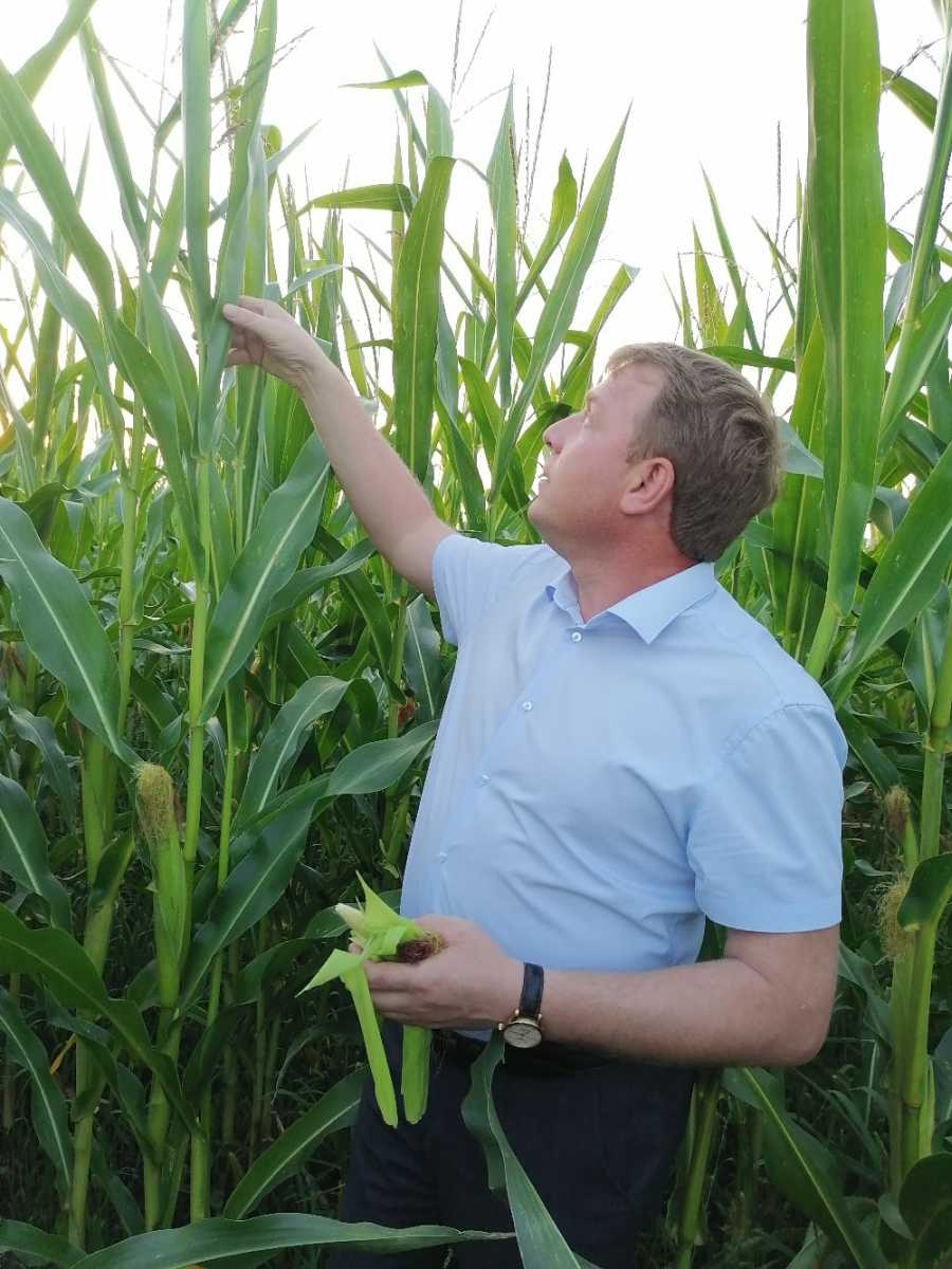 Рузаевский район вышел в лидеры по урожайности в республике