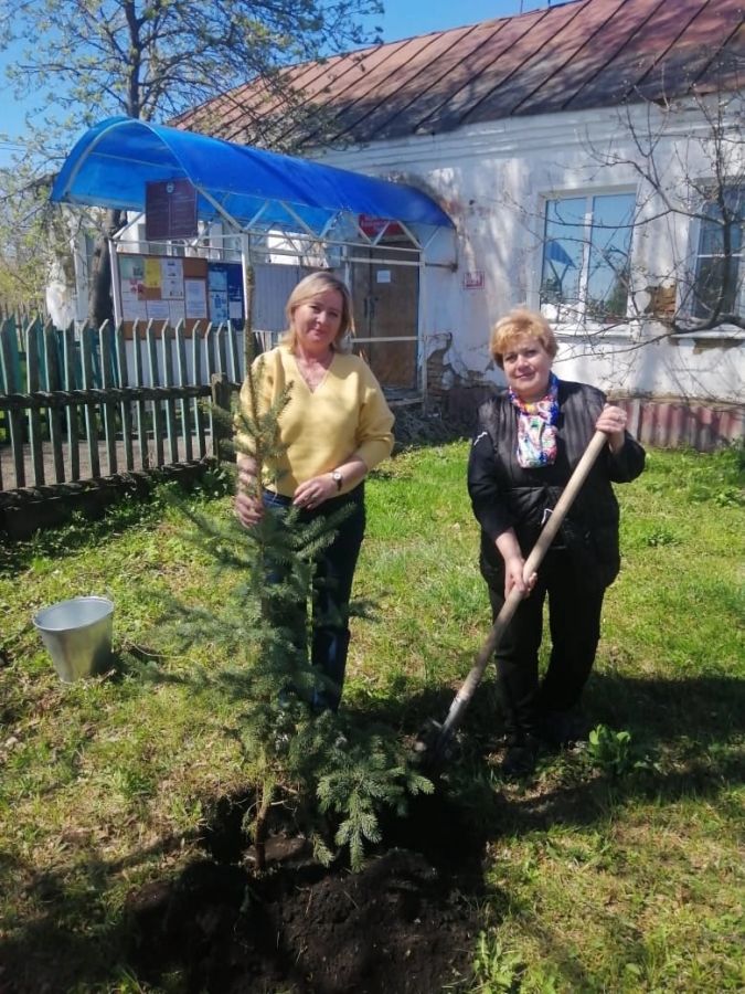 5 мая, в предверии 77 годовщины Победы в Великой Отечественной войне, в Шишкеевском сельском поселении была проведена акция по высадке деревьев