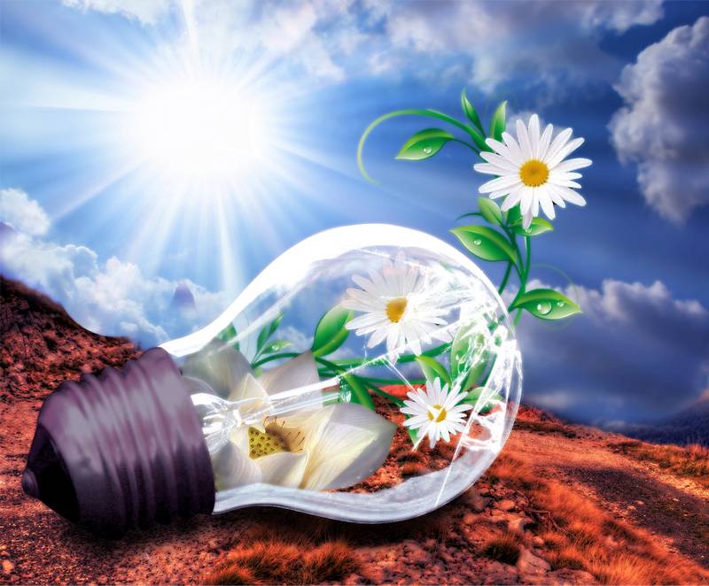 День энергетика