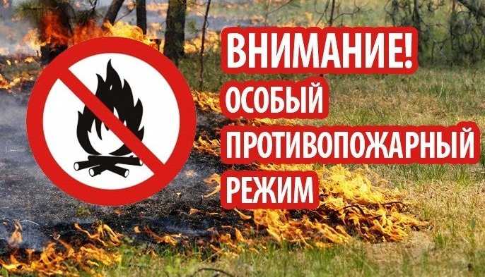 В РУЗАЕВСКОМ РАЙОНЕ ВВЕДЕН ПРОТИВОПОЖАРНЫЙ РЕЖИМ