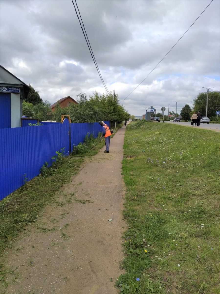 «Я ПРЕДЛАГАЮ НАМ ВСЕМ ОБЪЕДИНИТЬСЯ И В СУББОТУ ВЫЙТИ НА БОРЬБУ С РАСТИТЕЛЬНОСТЬЮ!»