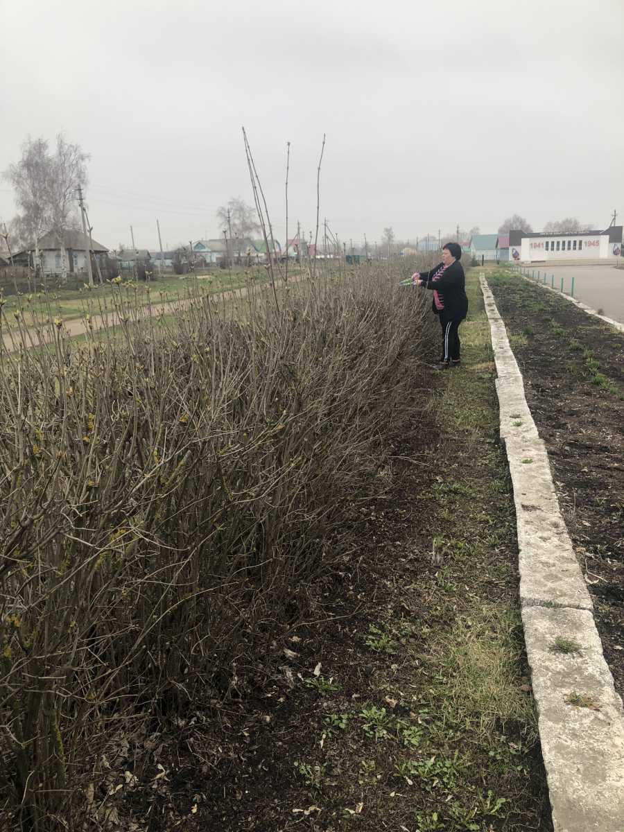 Уборка территории