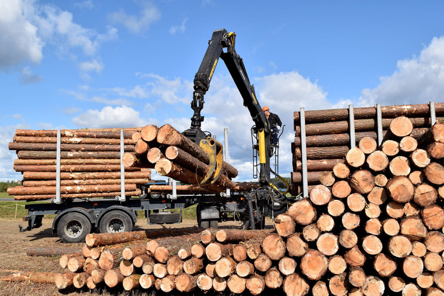 С 1 ЯНВАРЯ 2022 ГОДА ВВОДИТСЯ ЗАПРЕТ НА ВЫВОЗ ИЗ РОССИИ НЕОБРАБОТАННОЙ И ГРУБО ОБРАБОТАННОЙ ДРЕВЕСИНЫ ХВОЙНЫХ И ЦЕННЫХ ЛИСТВЕННЫХ ПОРОД