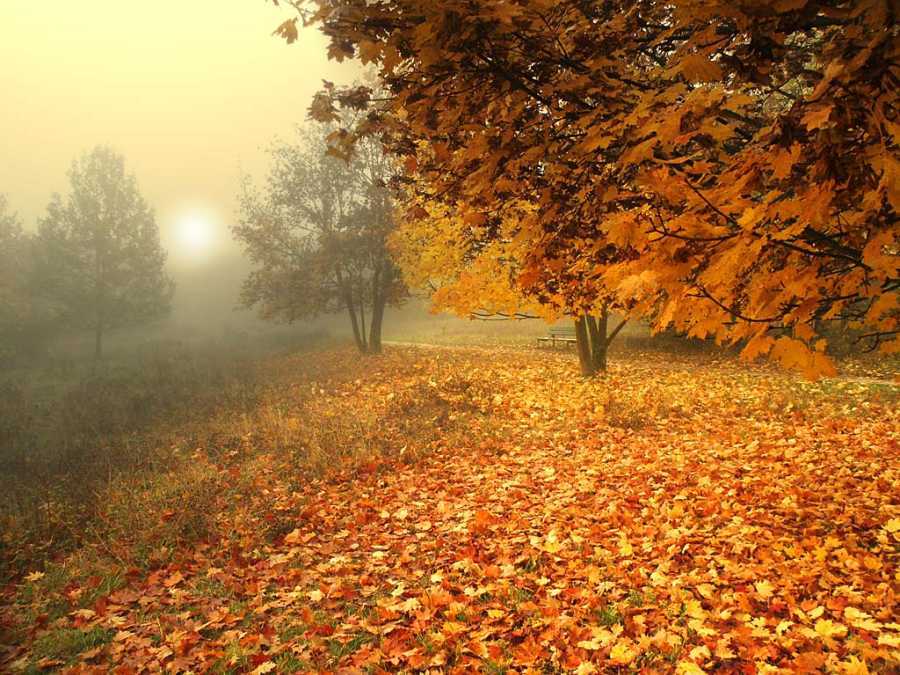 По данным Мордовского ЦГМС – филиала ФГБУ «Верхне - Волжское УГМС» на территории республики прогнозируется