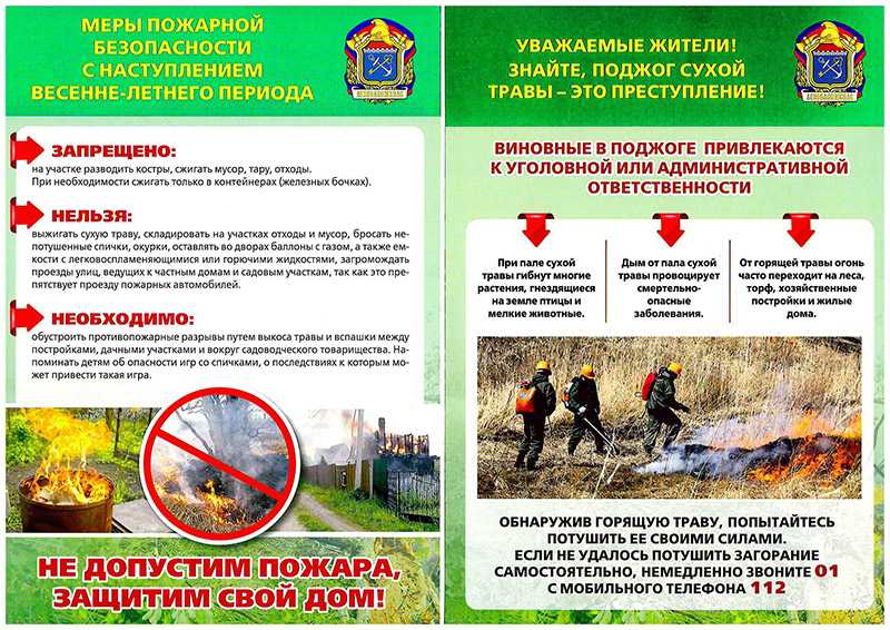 Лесной пожар