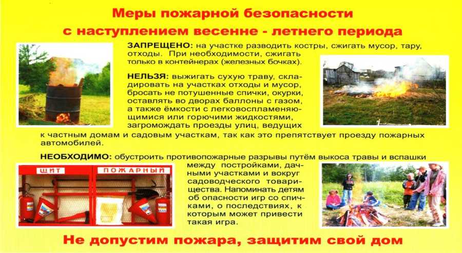 Лесной пожар