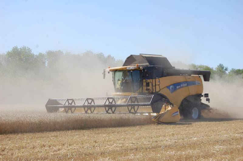 АГРАРИИ ВЫШЛИ НА УБОРКУ ОЗИМОЙ ПШЕНИЦЫ