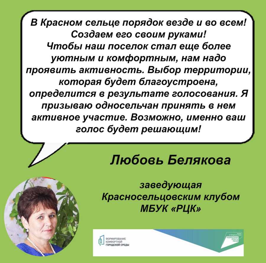 В КРАСНОМ СЕЛЬЦЕ ВЫБРАЛИ КУРАТОРОВ ОБЩЕСТВЕННЫХ ТЕРРИТОРИЙ