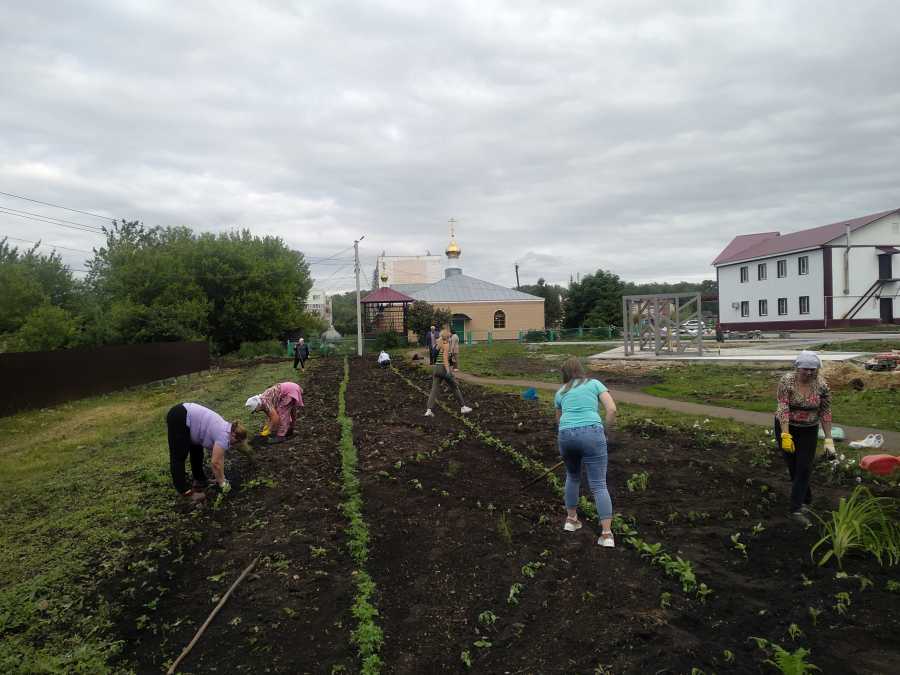 На территории Красносельцовского сельского поселения продолжаются работы по озеленению благоустраиваемой общественной территории