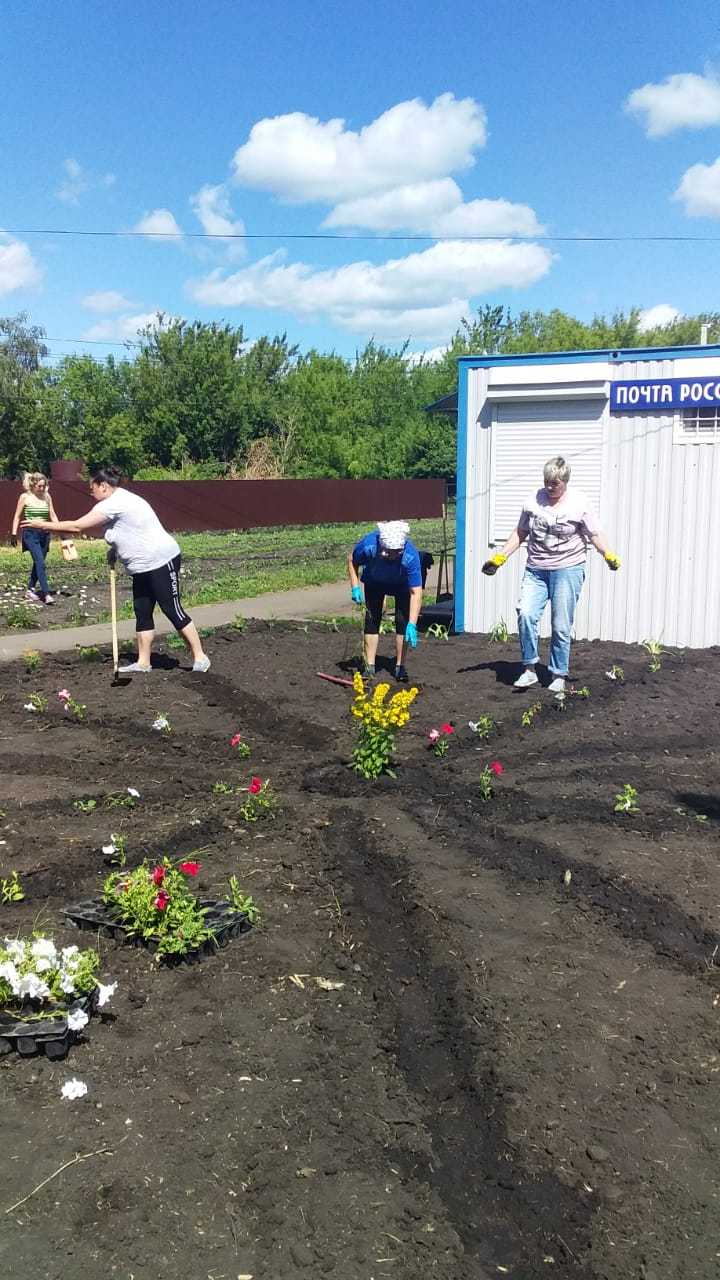 На территории Красносельцовского сельского поселения продолжаются работы по озеленению благоустраиваемой общественной территории